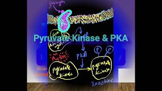 PKA amp Inhibition of Glycolysis Metabolism Made Easy [upl. by Sonni]