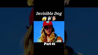 Invisible dog shorts viral videos 2024 Hinku short [upl. by Sudbury]