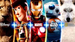 Animation Movies Hindi Dubbed  The Explainer [upl. by Accalia]