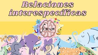 Relaciones INTERespecíficas  Tipos  Ejemplos [upl. by Oniluap332]