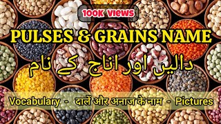 Pulses Name  Pulses and Grains vocabulary  Pulses name in Hindi  Dal k nam vocabulary english [upl. by Sitoiyanap]