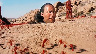 3 scenes we love in The Scorpion King starring Dwayne quotTHE ROCKquot Johnson 🌀 4K [upl. by Dwane]