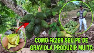 Seu pé de graviola não dá frutos veja como resolver e produzir muita Graviola [upl. by Freedman]