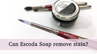 Escoda Vegetable Soap Brush Cleaner amp Preserver  Clean and remove brush stains Review [upl. by Adon615]