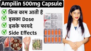 Ampicillin 500mg Capsule  Ampicillin Capsules Lp 500 Mg  Uses  Side Effects  Dose [upl. by Llenrub]