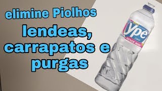 ELIMINE Piolhos lêndeas carrapatos e pulgas com 1 só produto [upl. by Reece]