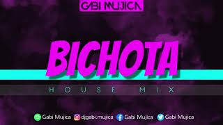 Karol G  Bichota Dj djgabimujica House Mix Remix [upl. by Urissa]