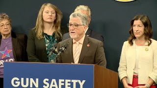 California state Sen Portantino announces new gun control measure [upl. by Maretz]