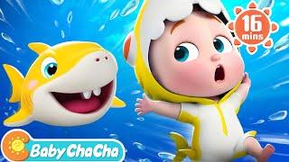 Baby Shark  Baby Shark Doo Doo Doo Dance  More Baby ChaCha Nursery Rhymes amp Kids Songs [upl. by Yaresed270]