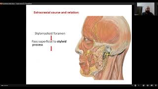 Facial nerve [upl. by Pack]