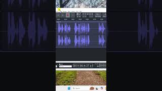 FIX Mic not working on pc  Expert FIX headphones connected but no sound windows 11 2024 [upl. by Leanna]