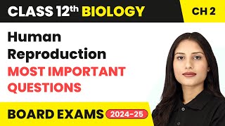 Human Reproduction  Most Important Questions  Class 12 Biology Chapter 2  CBSE 202425 [upl. by Eckblad]