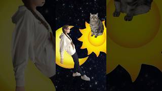 🐈‍⬛ animation cat art flipaclip meme trending reels [upl. by Hailat]