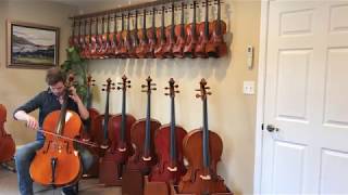 Petio Kostov Montagnana Cello [upl. by Ithaman681]