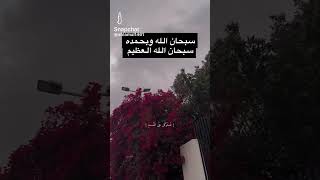 ١٤ أيلول ٢٠٢٤ [upl. by Nymassej]