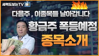 다음주 폭등예정주들 소개HLB라파스핑거스토리엔젠바이오퓨런티어보령스마트레이더시스템한국유니온제약오토앤리가켐바이오우리기술한싹HK이노엔녹십자웰빙티웨이항공대박 [upl. by Milena162]