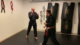 Tobi Ushiro Mawashi Geri [upl. by Yv]