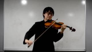 Laputa Castle in the Sky 天空の城ラピュタ  violin [upl. by Essa]