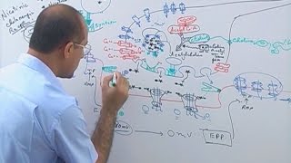 Neuromuscular Junction  Structure  Function amp Diseases🩺 [upl. by Aitnom]