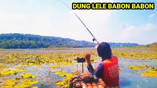 REZEKI TAK TERDUGA ❗BABON NYA MENGGILA DI AKHIR AKHIR SENJA‼️MANCING NILA [upl. by Pattani]