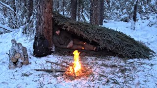 Winter Survival Shelter  Sleeping Outside in 25° Weather [upl. by Llehcnom]