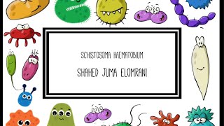 Schistosoma Haematobium [upl. by Akemahs]