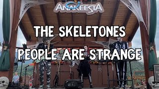 SkeleTones — People Are Strange [upl. by Ahselak38]