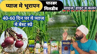 Pyaj me bhurepan ya powder mildew ka 100 samadhan  प्याज मे आ रही इस समस्या का बहतरीन डोज़ [upl. by Enelyad844]