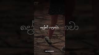 පිනි බිඳු ❤️❤️shorts sinhalasongs srilanka [upl. by Greysun861]