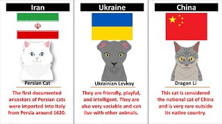 Cats From Different Countries [upl. by Eidak]