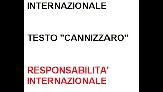 LEZIONI DI DIRITTO INTERNAZIONALE 10 di 19 quotRESPONSABILITA INTERNAZIONALEquot [upl. by Delija]