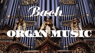 Bach  The Best Organ Music [upl. by Rizan]