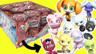 Miraculous Ladybug Miracle Box Kwami Surprise Series 2 [upl. by Nallij]