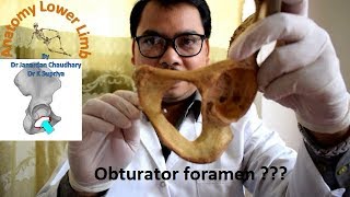 Obturator foramen [upl. by Forester]