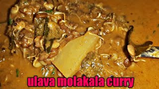 how to make sprouts curryulava molakalu masala Curry [upl. by Irodim]