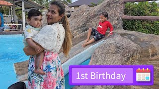 Knockabout Babys Birthday Party  Trini pool party [upl. by Aiello692]