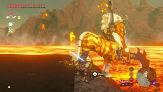 Breath of the Wild Gold Lynel on Death Montain [upl. by Nwonknu357]