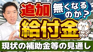 【追加給付金 無くなるのか？】給付金に関する最新情報 総合経済・物価高対策、政権の枠組みに左右か 自公国3党の部分連合 その他補助金の見通し 厚労省支援 詐欺注意等〈R6年117 時点〉 [upl. by Snebur]