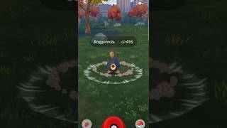 Pokémongo Roggenrola catch pokemongo​ pokemongoshorts​ pokémongo​ pokemongotipsandtricks [upl. by Oir]