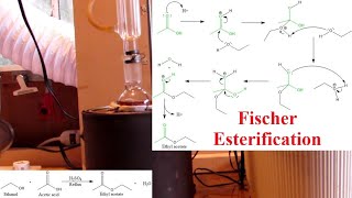 Making Ethyl Acetate  Fischer Esterification [upl. by Hartwell]