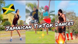 NEW JAMAICAN TIKTOK DANCE MASHUP 2024 [upl. by Lansing]