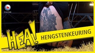 HEA Hengstenkeuring [upl. by Cher543]