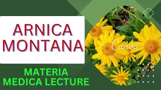 ARNICA MONTANA  Materia Medica  Homoeopathy  MateriaMedicaSpotlight [upl. by Cowan753]