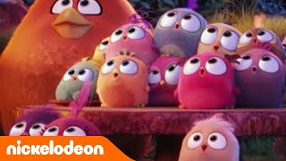 Lactualité Fresh  Semaine du 9 au 15 mai 2016  Nickelodeon France [upl. by Gurl]