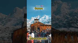 Kedarnath mein bhole Baba ke darshan shorts youtubeshorts ytshorts [upl. by Ihteerp882]