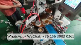 Fully automatic egg tart shell making machine Portuguese egg tart crust tartlet pressing maker [upl. by Hseyaj]