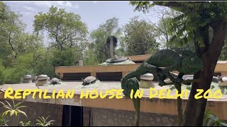 REPTILIAN HOUSE IN DELHI ZOONational zoological parkreptiles reptile pythan ratsnake [upl. by Kandace]