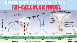 Cape Geography Unit 2 Tri cellular Model [upl. by Ailen172]