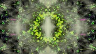 TAG04∞4097∞ Mindwave Mandala 20 mins [upl. by Ynos350]