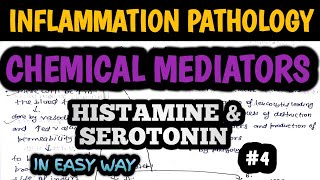 INFLAMMATION Pathology Part 4 Chemical Mediators HISTAMINE amp SEROTONIN  Inflammation in hindi [upl. by Nisse941]